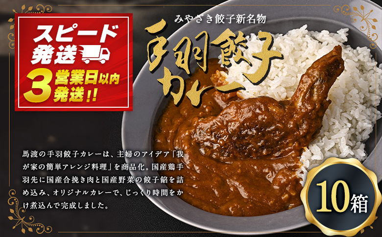 〈 みやざき餃子新名物 手羽餃子カレー 10箱 〉カレー 餃子 ギョウザ ギョーザ 手羽餃子 レトルト 常温保存 餃子の馬渡