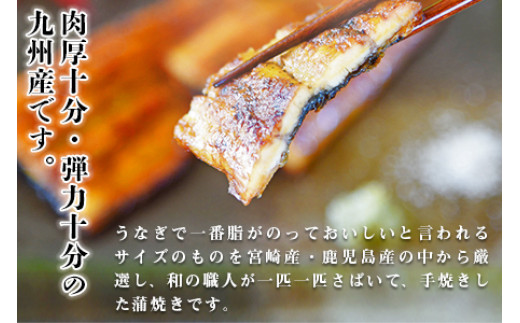 ＜職人手焼き九州産うなぎ 蒲焼き1尾（2切れ）計130g前後＞翌月末迄に順次出荷