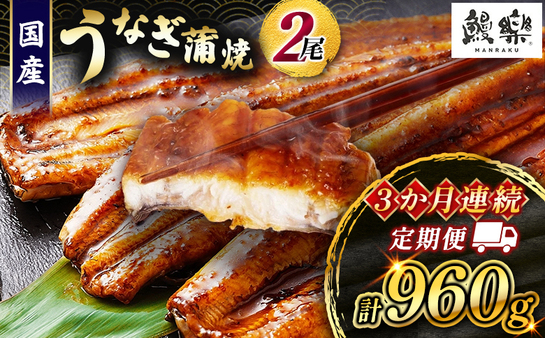 うなぎ 蒲焼 定期便 ＜計3回＞ 鰻 2尾 （計960g） 国産 ウナギ 3か月 連続 人気 ギフト 贈答品 おすすめ 小分け 宮崎県 高鍋町 名物