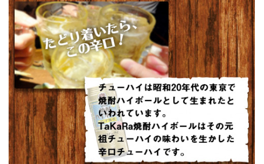 ＜TaKaRa 焼酎ハイボール グレープフルーツ 500ml×24本＞翌月末迄に順次出荷