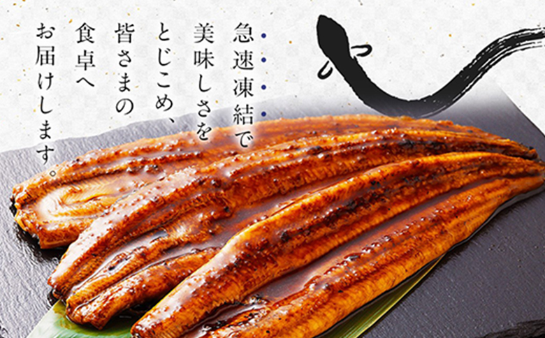 うなぎ 蒲焼 定期便 ＜計3回＞ 鰻 2尾 （計960g） 国産 ウナギ 3か月 隔月 人気 ギフト 贈答品 おすすめ 小分け 宮崎県 高鍋町 名物