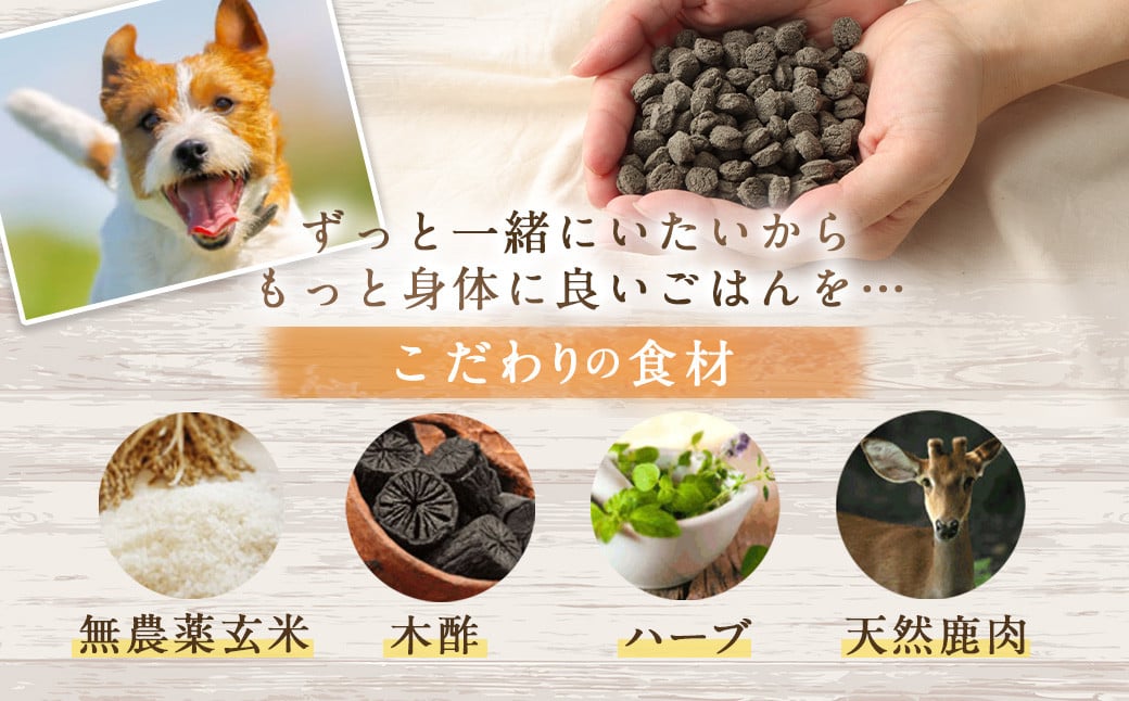 ＜ファインベニソン華 1kg＞翌月末迄に順次出荷