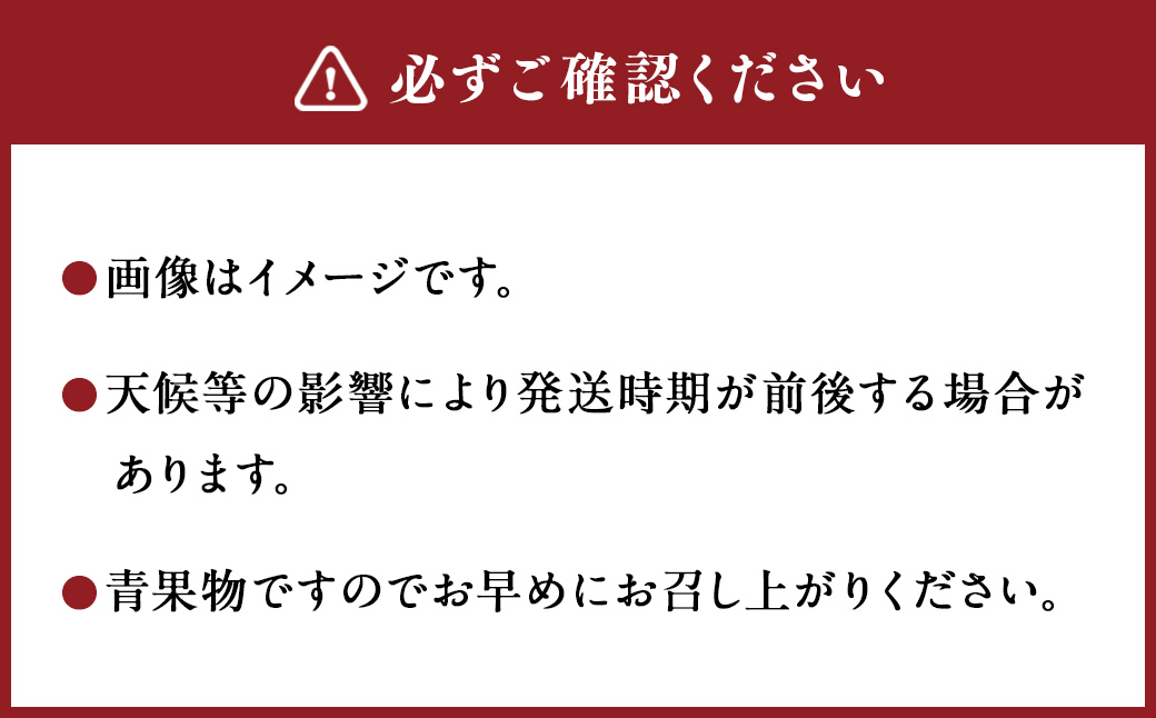 ＜宮崎県産完熟マンゴー L×3玉（約900g）＞2025年4月中旬～7月下旬までに順次出荷