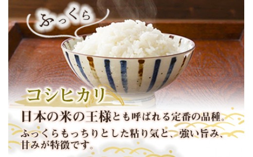 ＜令和6年度 特別栽培米「粋」コシヒカリ 5kg（3か月定期便）＞ ※翌月下旬に第一回目を発送(12月は中旬)