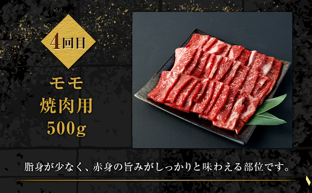 ＜ミヤチク 宮崎牛6ヶ月定期便＞※入金確認後、2ヶ月以内に順次出荷します。 合計約3kg 和牛 定期 宮崎牛