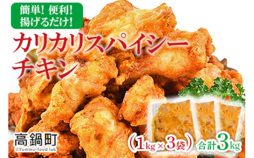 ＜カリカリスパイシーチキン 3kg（1kg×3袋）＞翌々月末迄に順次出荷