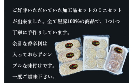 ＜まさとの黒豚加工品セットミニ 3種計12個＞翌々月末迄に順次出荷