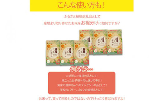 ＜令和5年産宮崎県産コシヒカリ 2kg×6＞翌々月末迄に順次出荷 合計12kg 米 精米 コシヒカリ