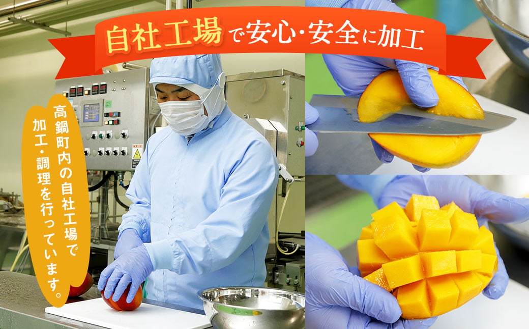 シ懷ョョ蟠守恁逕」繝槭Φ繧エ繝シ繧ク繝・繝シ繧ケ 讌オ讌オ 500mlシ樒ソ梧怦譛ォ霑縺ォ鬆谺。蜃コ闕キ
