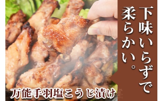 ＜お試しチキン3種 各1kg 計3kg（塩麹・味噌・スパイシー）＞翌々月末迄に順次出荷 