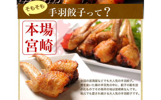 縲仙ョョ蟠守ゥコ貂ッ縺ァ螟ァ莠コ豌!縲禅V譟千分邨縺ァ鬢蟄先律譛ャ荳迯イ蠕!シ憺ヲャ貂。縺ョ謇狗セス鬢蟄18譛ャシ樒ソ梧怦譛ォ霑縺ォ鬆谺。蜃コ闕キ 鬢蟄舌ョ鬥ャ貂。 謇狗セス蜈磯、蟄 蝗ス逕」100シ 螳ョ蟠朱、蟄 迚ケ逕」蜩