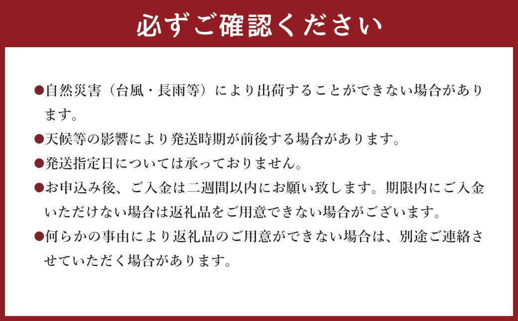 ＜宮崎県 完熟マンゴー2L×2玉 700g＞2025年4月上旬～7月中旬迄に順次出荷