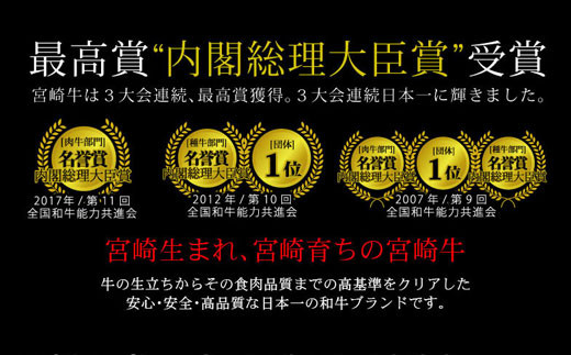 ＜宮崎牛ネックサイコロカット400g+パタゴニア天然塩付き＞3か月以内に順次出荷