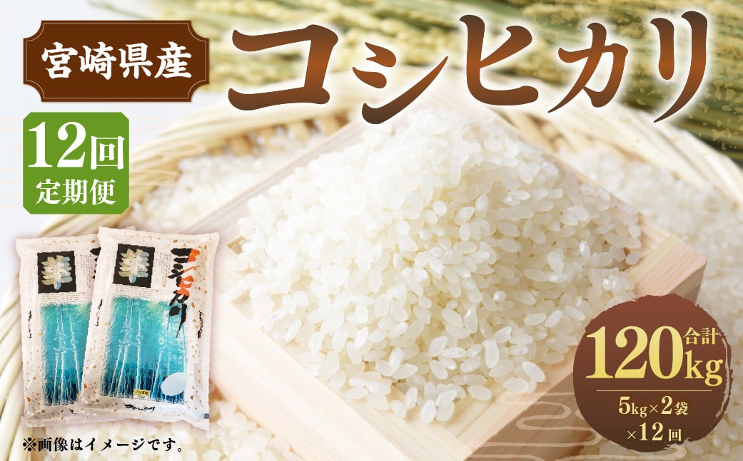 1584 【あおきライスファーム】南陽市産 特別栽培米雪若丸2kg×2袋