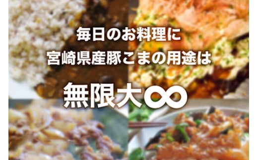 ＜【2025年2月発送】宮崎県産豚こま4kg＋タレセット＞