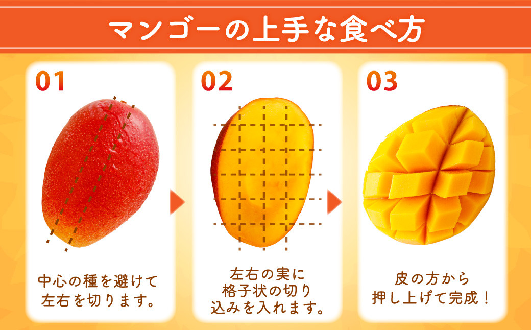 ＜宮崎県産 完熟マンゴー 3L×2玉(合計 約900g)＞ ※2024年5月上旬〜7月中旬迄に順次出荷します。
