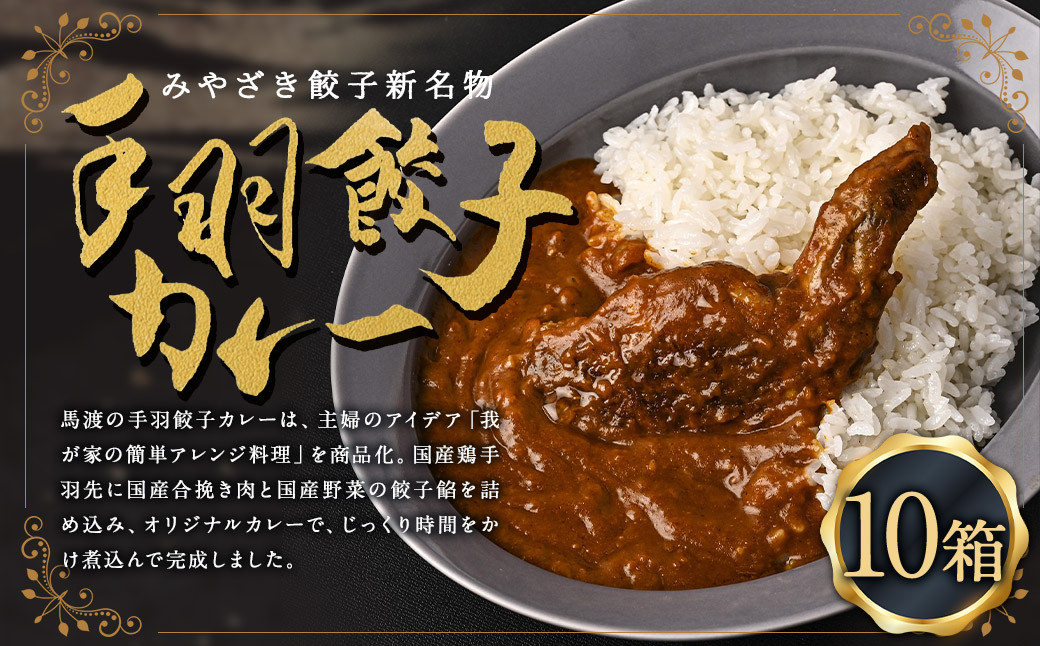 〈 みやざき餃子新名物 手羽餃子カレー 10箱 〉翌月末迄に順次出荷 カレー 餃子 ギョウザ ギョーザ 手羽餃子 レトルト 常温保存 餃子の馬渡