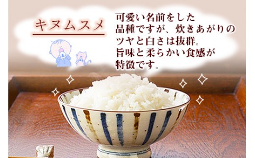 ＜令和6年度 特別栽培米「粋」キヌムスメ 5kg（3か月定期便）＞ ※翌月下旬に第一回目発送（12月は中旬）