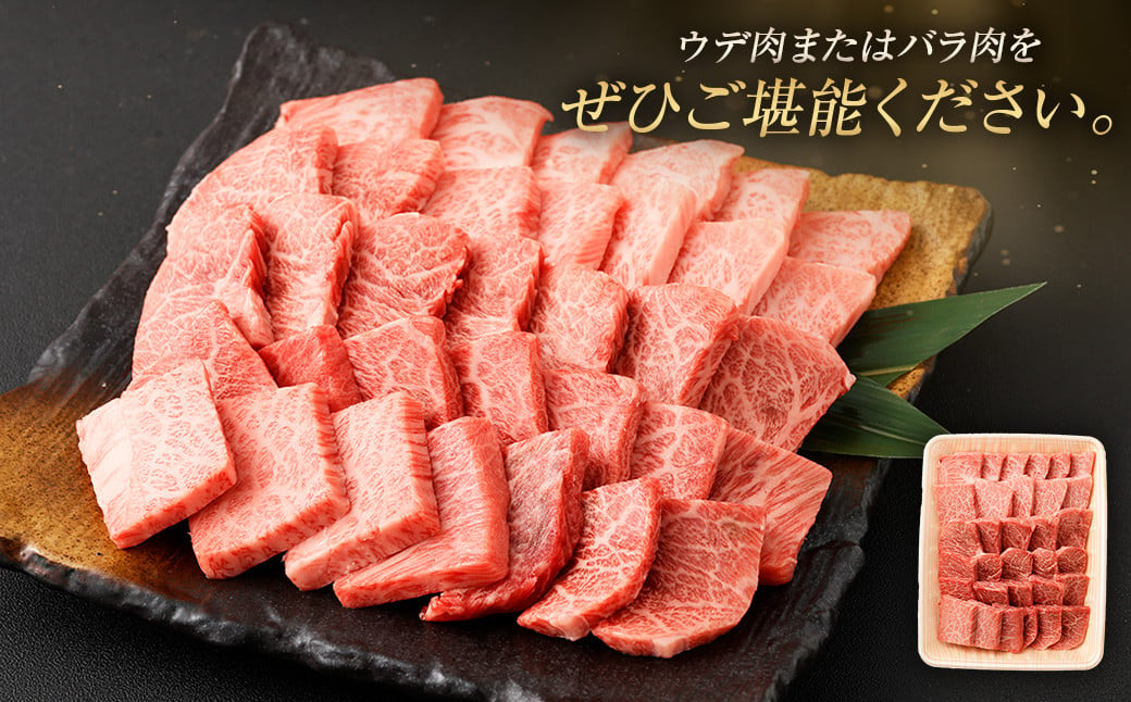 ＜≪肉質等級4等級以上≫宮崎牛ウデ・バラ焼肉セット（600g）＞入金確認後、翌月末までに順次出荷 宮崎牛 牛肉 肉 お肉 黒毛和牛 ブランド肉 ウデ バラ 赤身 新鮮 焼き肉 焼肉 冷凍 国産