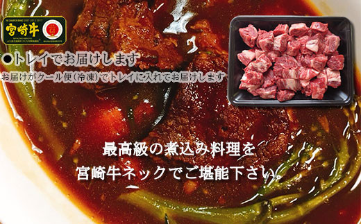 ＜宮崎牛ネックサイコロカット400g+パタゴニア天然塩付き＞3か月以内に順次出荷