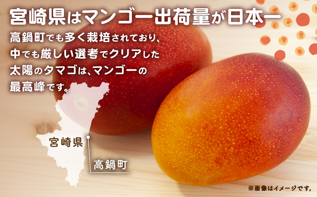 ＜太陽のタマゴ（マンゴー）＞※2024年5月中旬～7月中旬迄に順次出荷 2個入 900g 果物 フルーツ 果物 完熟 宮崎