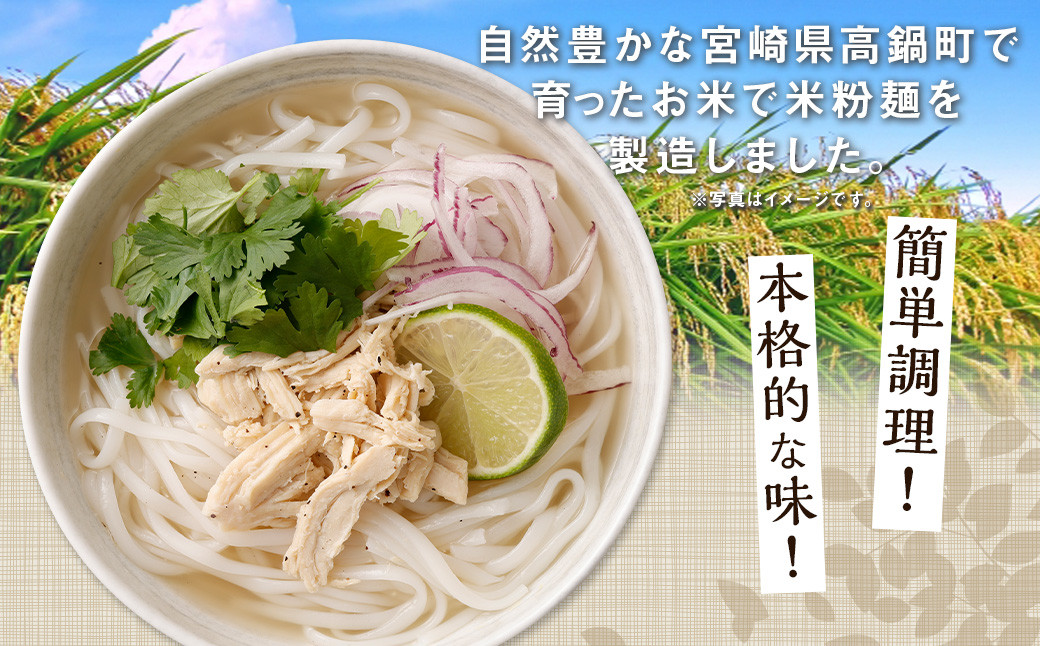 〈【4ヶ月 定期便】米粉麺 フォー 3食 セット（麺のみ +1パック）〉翌月末迄に順次出荷 本格 簡単 麺 スープ ライスヌードル