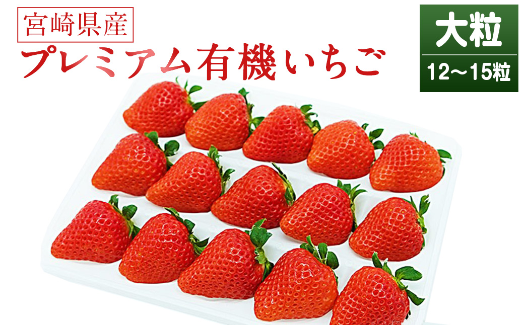 ＜宮崎県産 プレミアム有機いちご大粒12~15粒＞※入金確認後、2025年1月～3月迄に順次出荷します。