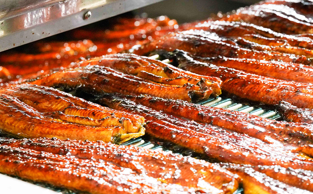 讌オ荳企ーサシ√≧縺セ縺シシ懊≧縺ェ縺 蝗ス逕」 縺縺ェ縺手調辟シ 4縲5蟆セ 險500g莉・荳奇シ槭オ繧九&縺ィ邏咲ィ 縺縺ェ縺 鬮倡エ 髟キ闥イ辟シ 魏サ 螟上ヰ繝髦イ豁「 繧ヲ繝翫ぐ 魏サ 縺九ー辟シ縺 闥イ辟シ縺 荳代ョ譌・ 繧ソ繝ャ 螳ョ蟠守恁逕」 蝗ス逕」 荵晏キ樒肇 螳ョ蟠守恁 鬮倬豪逕コ 騾∵侭辟。譁