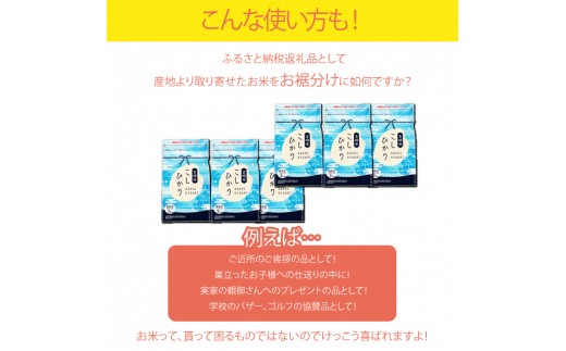 ＜令和5年産無洗米宮崎県産コシヒカリ 2kg×6＞翌々月末迄に順次出荷 合計12kg 米 無洗米 コシヒカリ