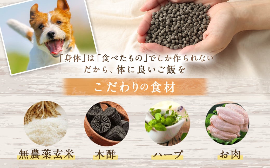 ＜1歳までの愛犬用お試しセット＞翌月末迄に順次出荷