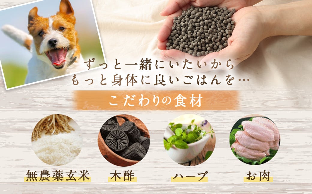 ＜ファインちび華 1kg＞翌月末迄に順次出荷