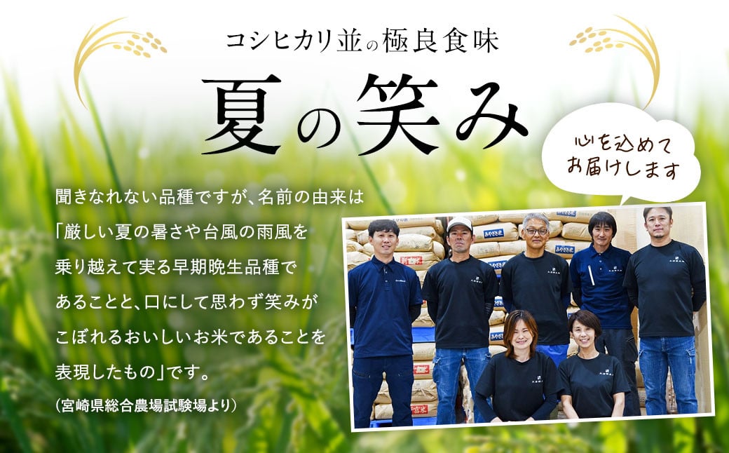 新米】＜令和5年産 宮崎県産夏の笑み（無洗米）10kg(5kg×2袋) 3か月