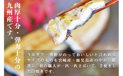 ïŒè·äººæçŒãä¹å·ç£ããªã çœçŒã1å°ŸïŒ2åãïŒèš130gååŸïŒç¿ææ«è¿ã«é 次åºè·