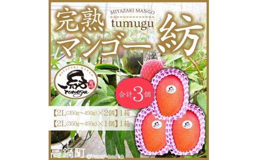 ＜完熟マンゴー 「紡」 2L×3個＞ 果物 フルーツ マンゴー くだもの 特産品 完熟 国産 宮崎県 高鍋町【冷蔵】
