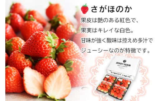 ＜宮崎県産 有機いちご250g×2パック＞※入金確認後、2025年1月～3月迄に順次出荷します。