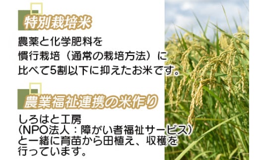 ＜令和6年度 特別栽培米「粋」ヒノヒカリ 10kg＞ ※入金確認後、翌月末迄に順次出荷します。