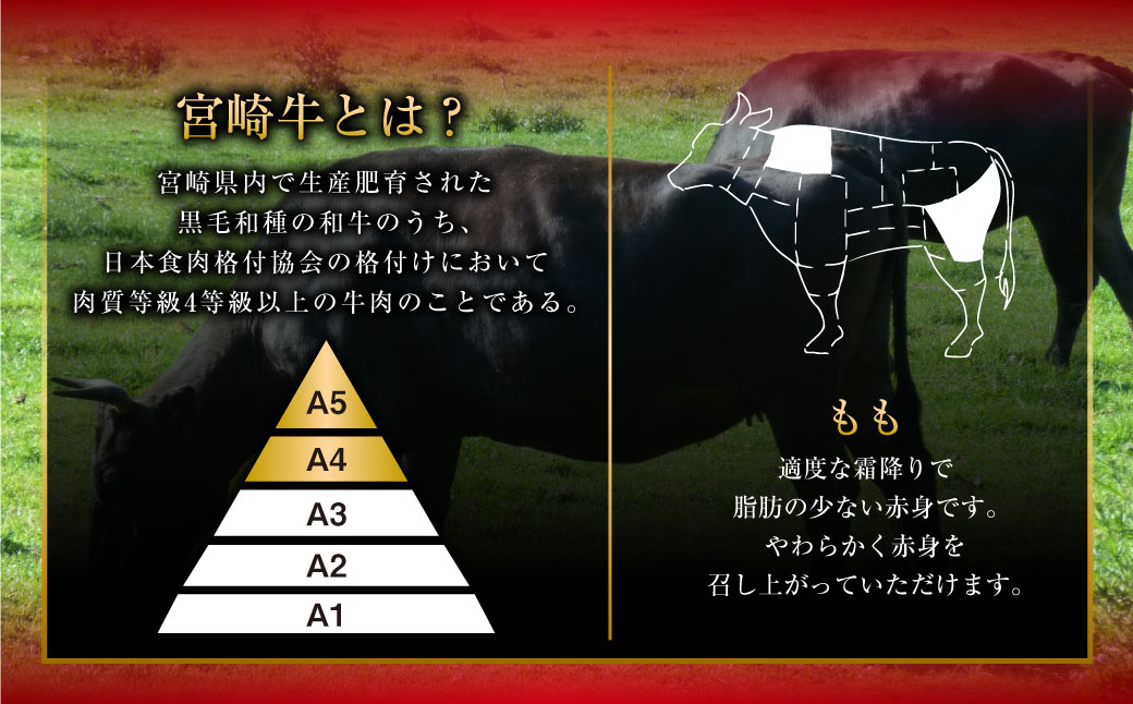 ＜みやざき和牛 すき焼き肉 1kg＞2か月以内に順次出荷します