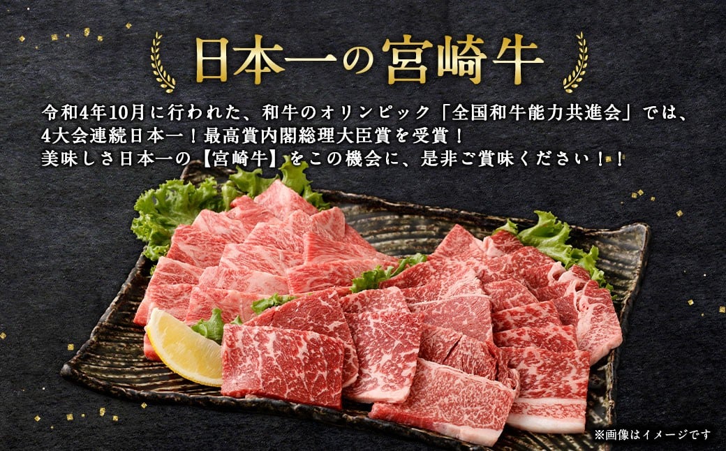 ＜宮崎牛焼肉2種（赤身霜降り） 計600g＞2026年2月上旬より順次出荷 300g×2パック お肉 肉 宮崎牛 牛肉 赤身 肩ロース ロース モモ ウデ 焼き肉 焼肉 BBQ バーベキュー 霜降り 冷凍 宮崎県 高鍋町