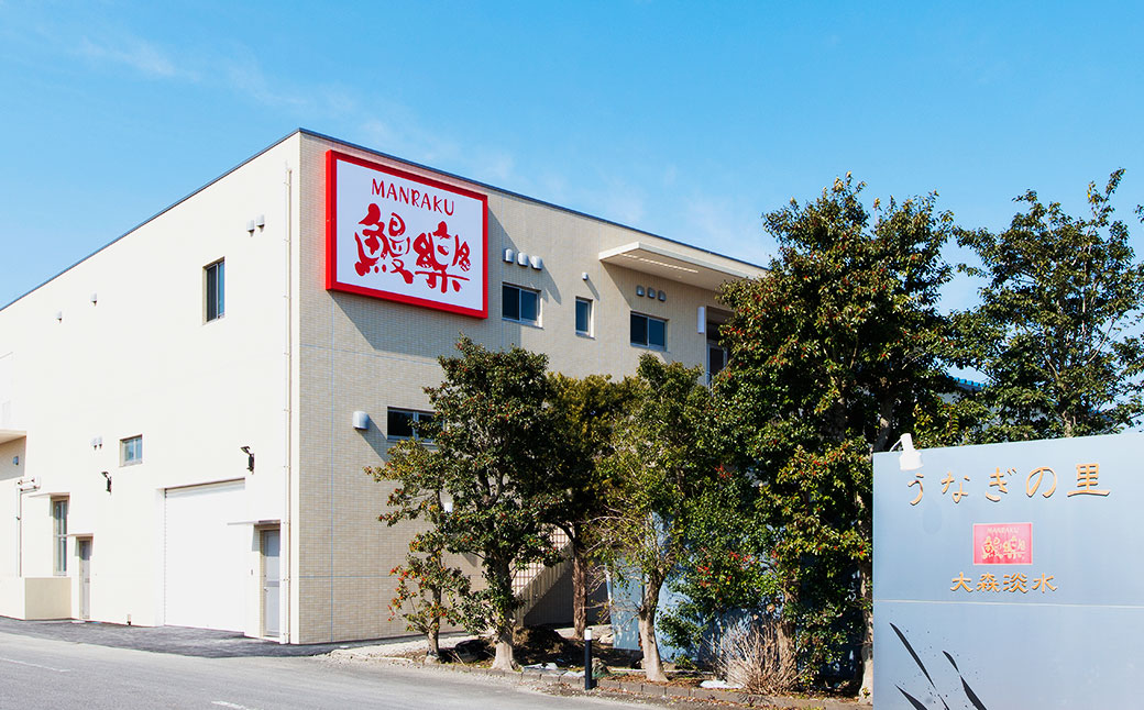 極上鰻！うまい！＜うなぎ 国産 うなぎ蒲焼 6～8尾 計1kg以上＞ふるさと納税 うなぎ 高級 長蒲焼 鰻 夏バテ防止 ウナギ 鰻 かば焼き 蒲焼き 丑の日 タレ 宮崎県産 国産 九州産 宮崎県 高鍋町 送料無料