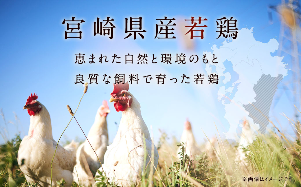 【9月発送】＜宮崎県産若鶏3種 計6kgセット＞