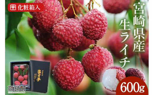 【先行予約】＜宮崎県産ライチ600g＞2026年7月中に順次出荷