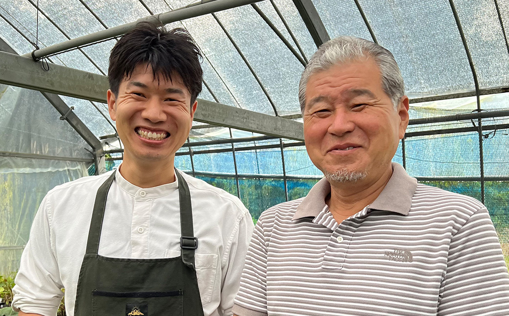 ＜山あじさい 4本セット＞2024年10月上旬～2025年6月下旬迄に順次出荷