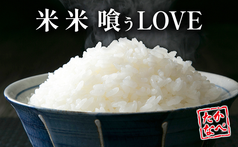 ＜12回定期便＞ コシヒカリ 5kg 令和8年産 無洗米 国産 チャック付 小分け 食品 保存 便利 ご飯 弁当 こしひかり 数量限定 送料無料