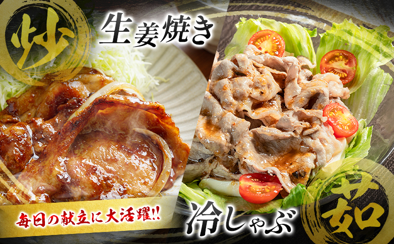 数量限定 ＜満喫Cセット＞ 豚肉 合計4.75kg 国産 ロース 肩ロース スライス モモ ウデ ミンチ ハンバーグ しゃぶしゃぶ 詰め合わせ 大容量 冷凍 小分け 便利 おすすめ 送料無料