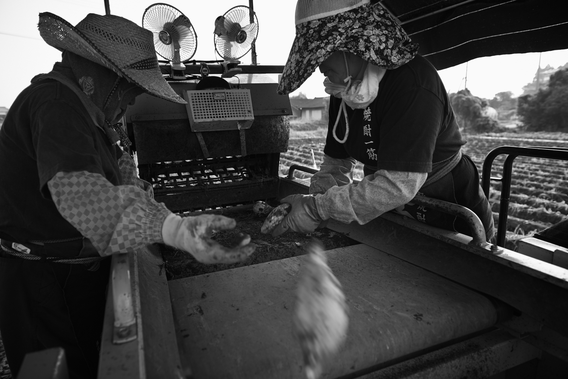 ã1æ¥10æ¬éå®ããJALéå®ãïŒäžã
720mlÃ1æ¬ ãã²ãšãæ§1æ¬ãŸã§ïŒç¿ææ«è¿ã«é 次åºè· ãé
çŒé
æ¬æ ŒçŒé
麊çŒé
25床 黿šæ¬åº ãc1453_koã