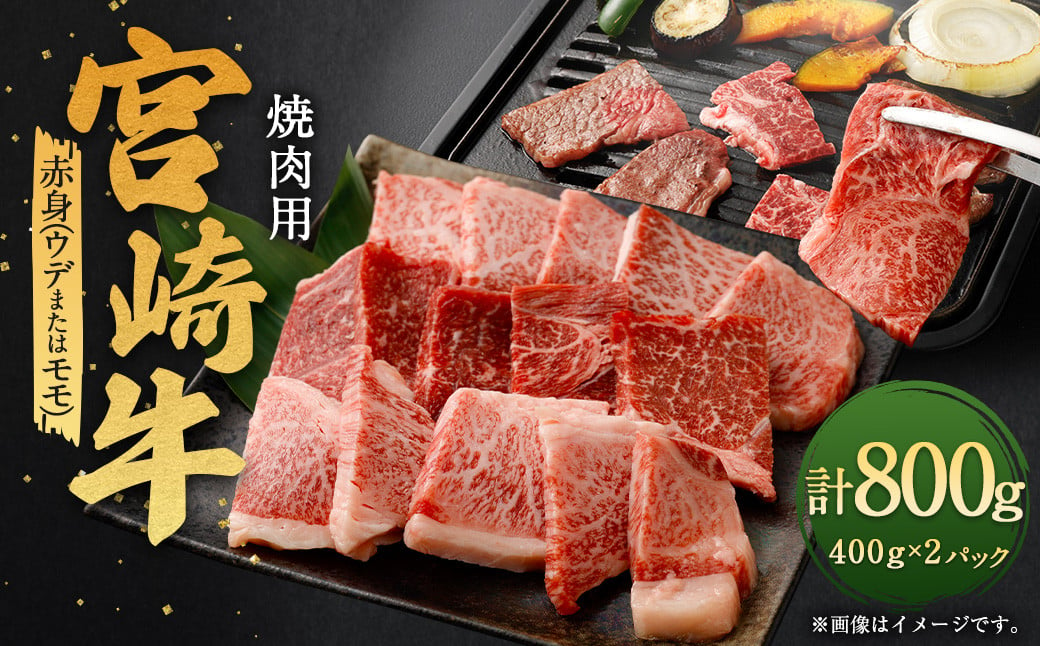 ＜宮崎牛赤身焼肉 800g＞翌月末迄に順次出荷 宮崎牛 牛肉 黒毛和牛 赤身 焼肉 極上 肉質 宮崎県産