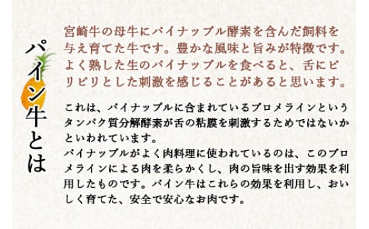 ＜パイン牛赤身とろフレーク 50g×5＞2か月以内に順次出荷