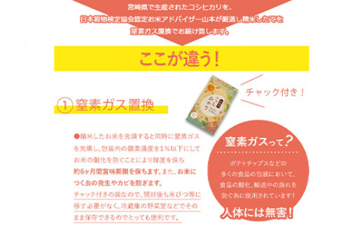 ＜令和5年産宮崎県産コシヒカリ 2kg×6＞翌々月末迄に順次出荷 合計12kg 米 精米 コシヒカリ