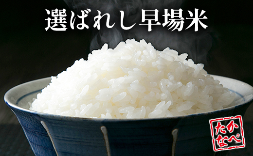 宮崎県産 コシヒカリ 令和8年産 5kg 無洗米 国産 チャック付 小分け 食品 保存 便利 ご飯 弁当 こしひかり 簡単 数量限定 送料無料