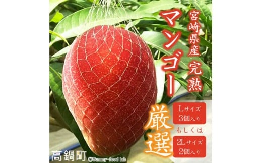 ＜宮崎県産完熟マンゴー（Lサイズ3個 or 2Lサイズ2個）＞ ※2024年4月上旬〜6月下旬迄に順次出荷  果物 フルーツ